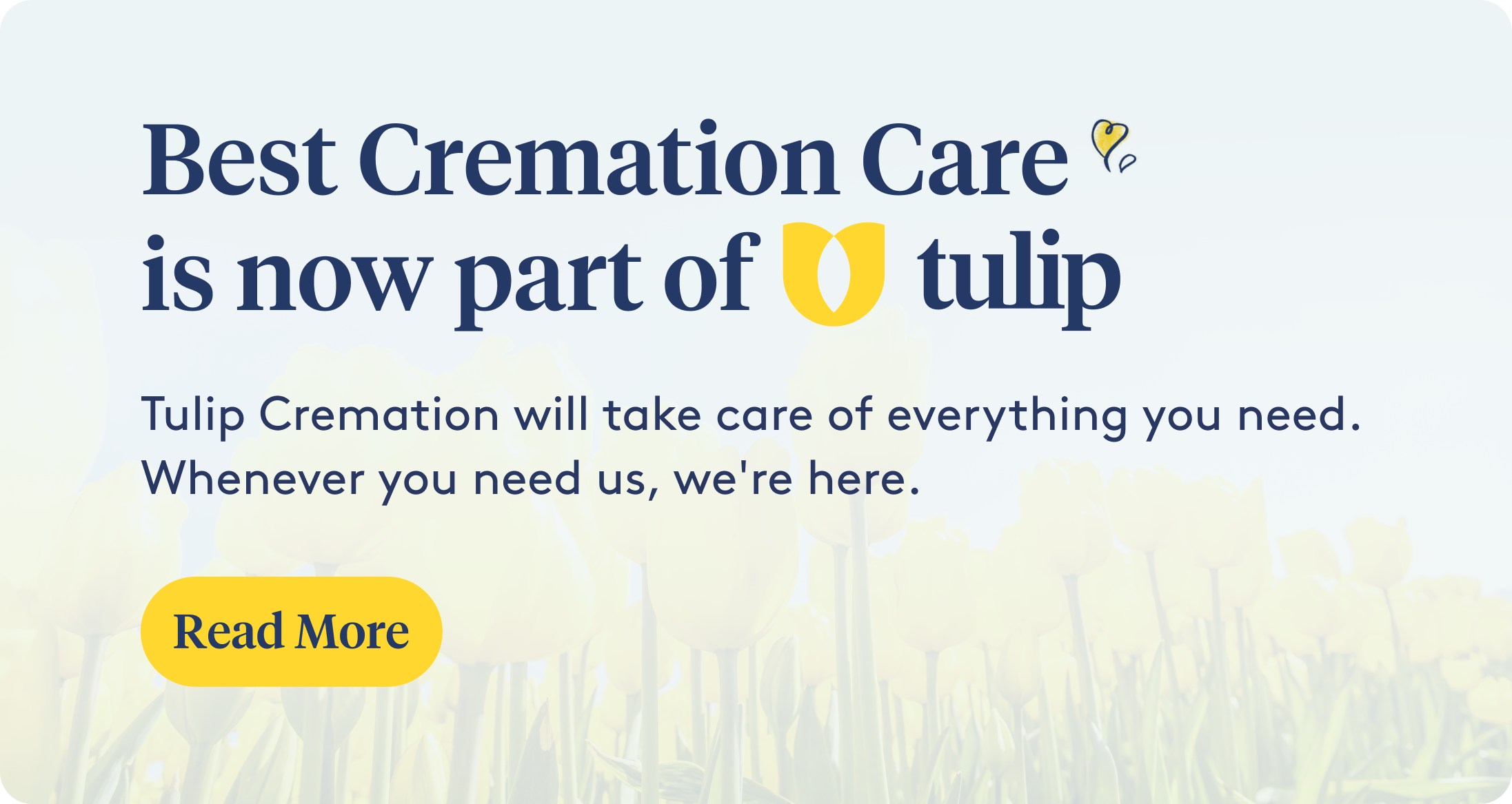 Affordable San Jose Cremation 1 195 Best Cremation Care